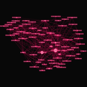 Twiplomats Betweenness Centrality